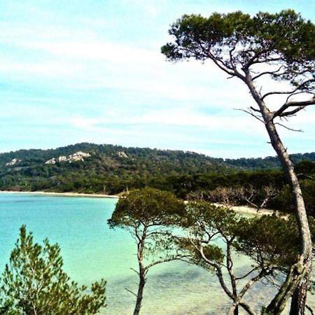 Ile De Porquerolles : T3 Climatise Vue Mer מראה חיצוני תמונה