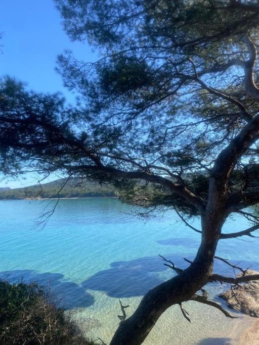 Ile De Porquerolles : T3 Climatise Vue Mer מראה חיצוני תמונה